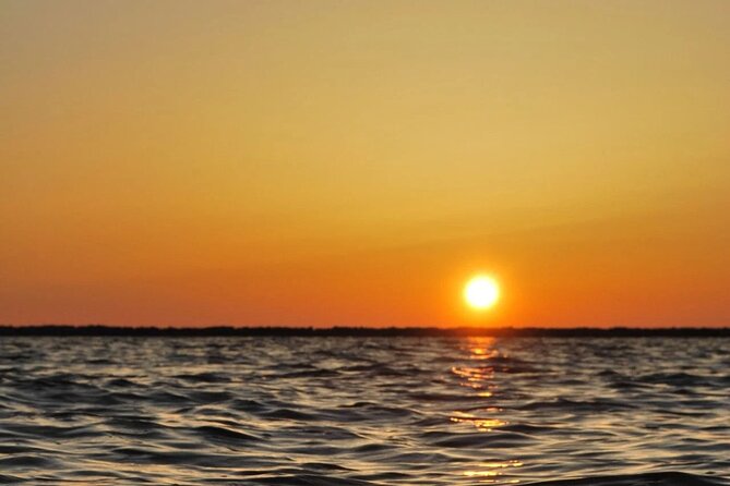 Sunset Tour | Ria Formosa - From Faro - Photo and Comfort: Getting the Shots Without the Crowd Fight