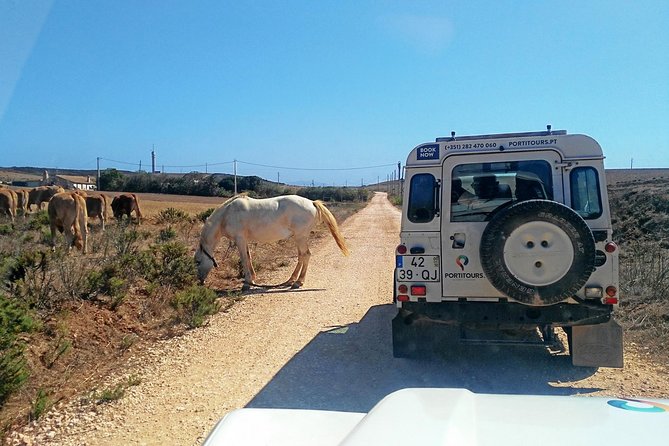 Super Day- Jeep Tour + Arade River Cruise - Key highlights that make this day work
