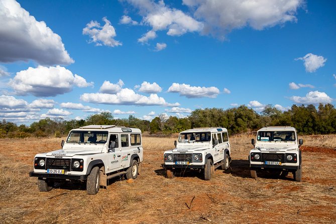 Super Day- Jeep Tour + Arade River Cruise - Price and value: is $102.12 a good deal?