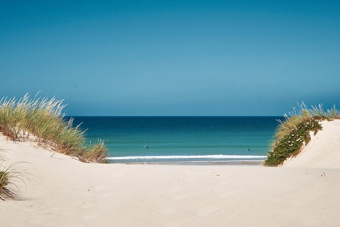 Surf Courses In Peniche and Baleal Portugal - Key points I’d write on a sticky note before you go