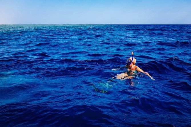 Swim with Wild Dolphins in the Azores - Ponta Delgada to the dolphin pod: how the 2.5-hour outing flows