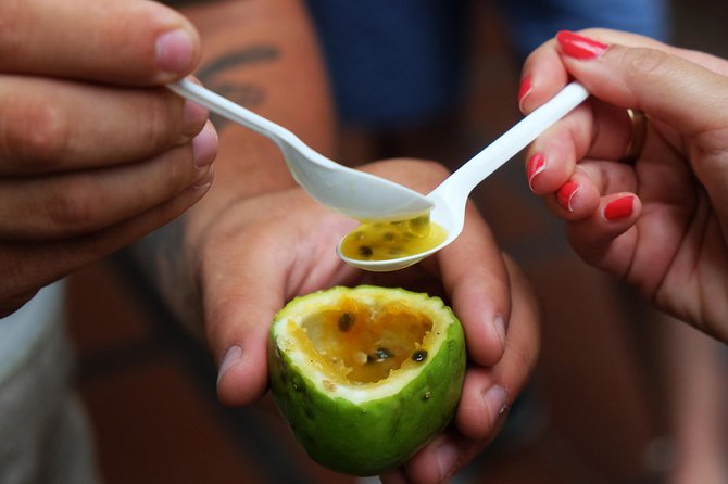 Taste Funchal: food, wine & cultural tour - How the Taste Funchal food-and-wine walk works (4 hours that feel like a mini tour)