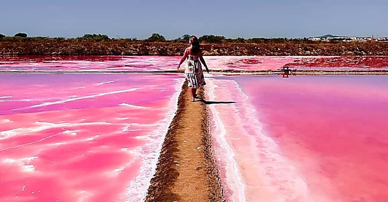 Tavira: 4x4 Jeep Adventure, Salt Pink Pans & Hidden Nature - Key highlights worth caring about