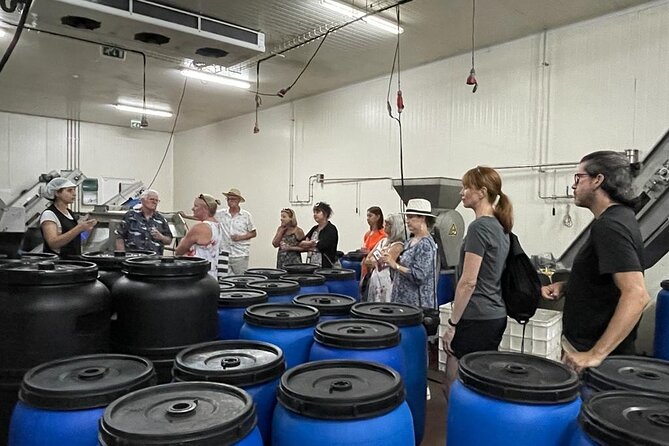 Tavira Olive Experience Factory Tour and Tasting - Entering the Olive Factory: A 1 Hour 30 Walk-Through in Tavira
