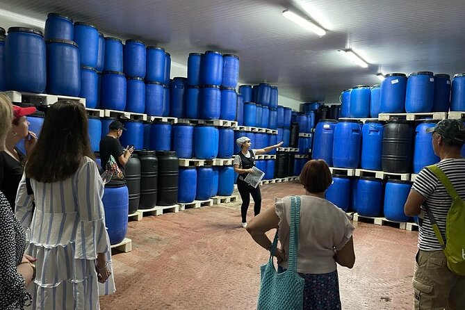 Tavira Olive Experience Factory Tour and Tasting - What You Learn: Olives, Preserving, and the Why Behind the Steps