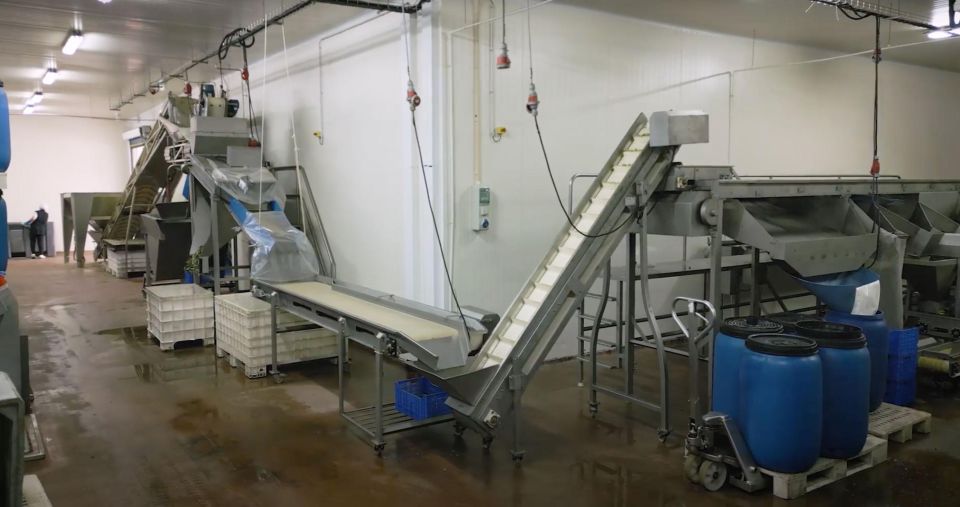 Tavira: Olive Factory Tour and Tasting - Who should book this Tavira olive factory tour?