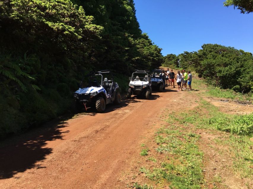 Terceira: Buggy Tour 4x4 West Side Azores Retreat - Driving the west side: fields, woods, rocks, and mud