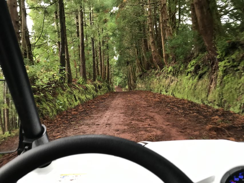 Terceira: Buggy Tour 4x4 West Side Azores Retreat - On-road sections: why they’re not filler