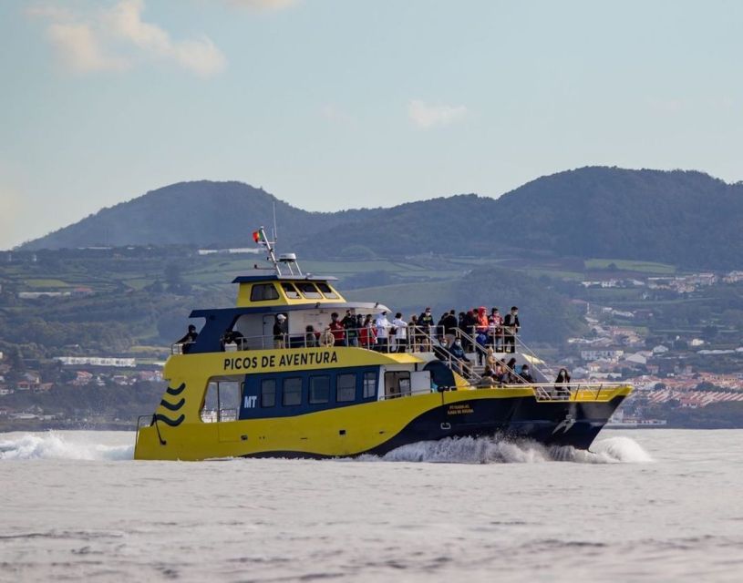 Terceira: Half-Day Dolphin and Whale Watching Tour - A stop for scenery: Ilhéu das Cabras