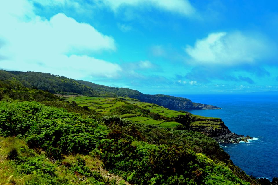 Terceira: Half-Day Island Tour with Cheese Tasting - Getting picked up smoothly (and why it matters)