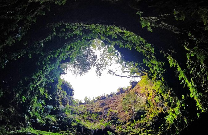 Terceira Island: Full Day Tour - A Small-Group Terceira Route That Gets You Oriented Fast