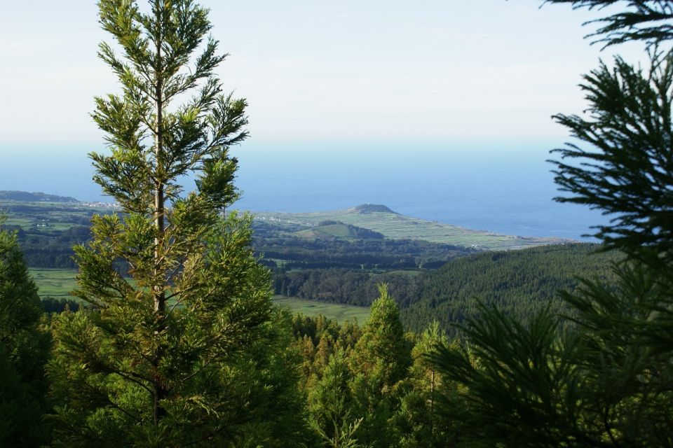 Terceira Island: Half-Day 4X4 Tour - The Narrow Backroads: Hydrangeas, Trees, and Basalt Walls