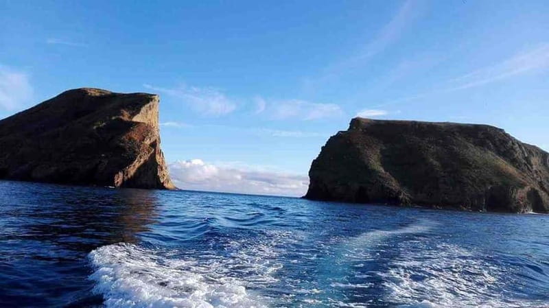 Terceira Island: Ilhéu das Cabras Boat Tour + Snorkeling - Key things that make this snorkel stop worth your time