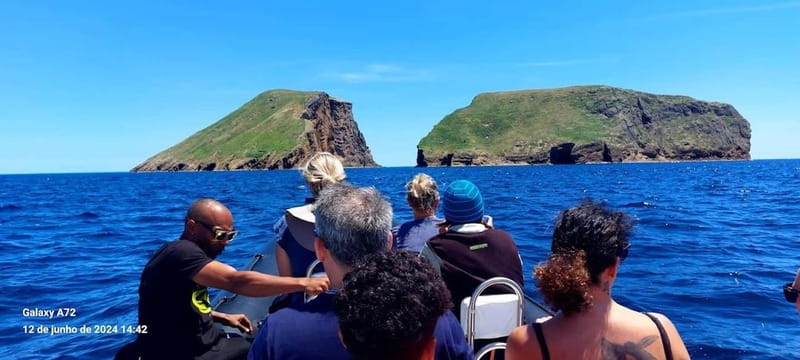 Terceira Island: Ilhéu das Cabras Boat Tour + Snorkeling - Wildlife viewing beyond the water: birds and the “special protection” feel