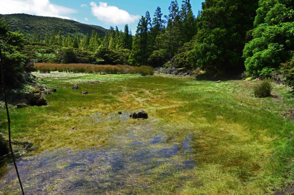 Terceira Island: Mistérios Negros Hiking - Key points to know before you lace up