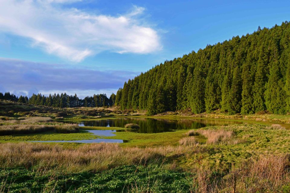Terceira Island: Mistérios Negros Hiking - Should you book this hike on Terceira?