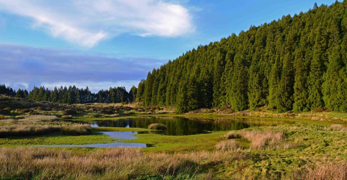Terceira Island: Mistérios Negros Hiking - Pico Gaspar: the volcanic climb and why it’s worth the effort