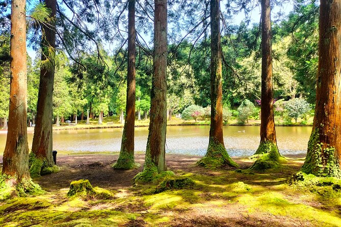 Terceira Island Private Full-Day Slow Tour with Lunch and Pickup - Why this Slow Tour feels different from a typical day on Terceira