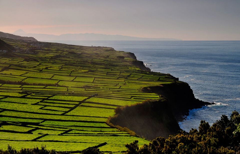 Terceira Island Whale Watching and Jeep Tour - Pickup, Small Groups, and Guides Who Actually Talk