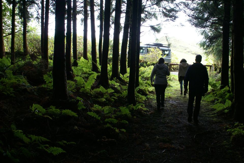Terceira Island Whale Watching and Jeep Tour - Price and Value: Is $265 a Fair Deal?