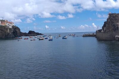 The best of the West of Madeira - Getting There: Hotel Pickup and a Comfort-First Vehicle
