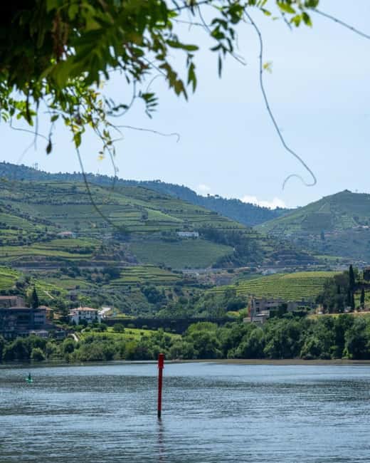The Douro Valley Tour – Late Start Experience - Pinhão and the 1-Hour Boat Cruise: When the Douro Slows Down