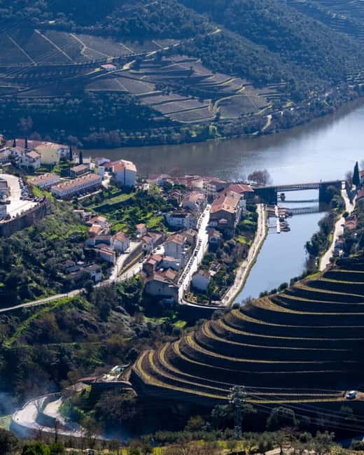 The Douro Valley Tour – Late Start Experience - Olive Oil Tasting and Panoramic Views: Small Add-Ons That Actually Matter
