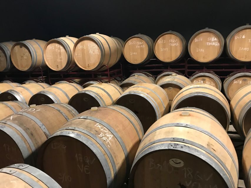 The Real Algarve: 2 Boutique Wineries & Silves Tour - Key highlights worth marking on your map