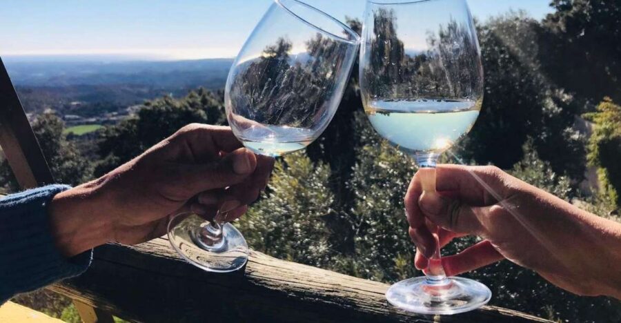 The Real Algarve: 2 Boutique Wineries & Silves Tour - From Albufeira pickup to a slower, wine-focused day