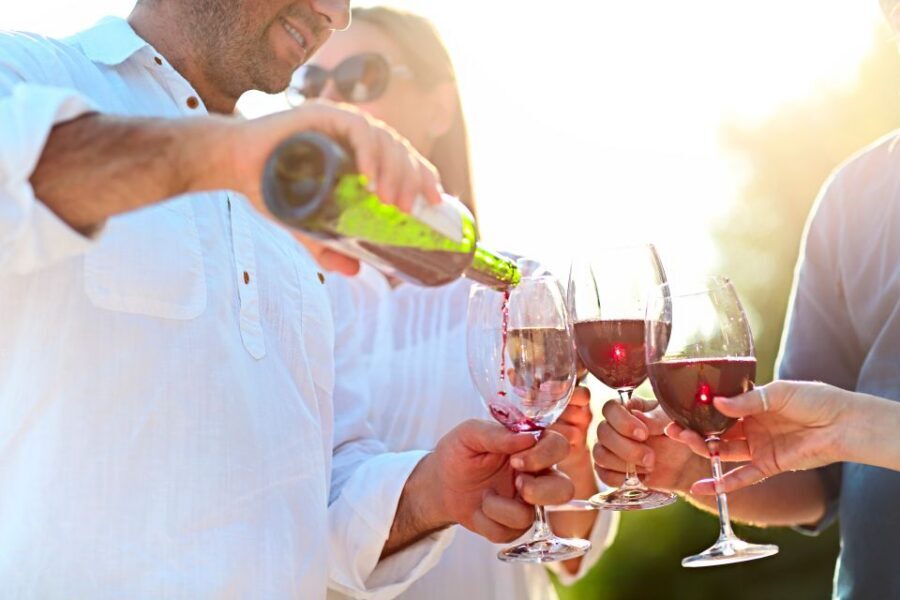 The Real Algarve: 2 Boutique Wineries & Silves Tour - Price and value: what $106 buys you in the Algarve