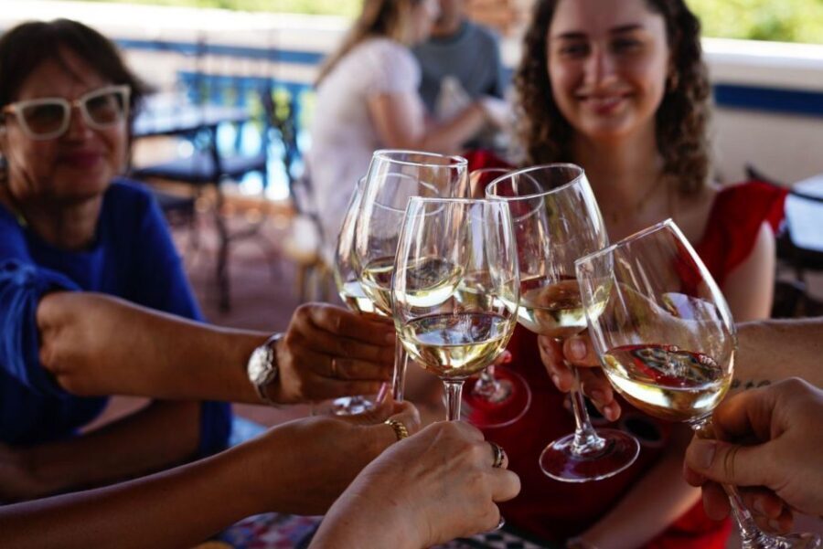 The Real Algarve: 2 Boutique Wineries & Silves Tour - Group size, comfort, and the small things that can affect your experience
