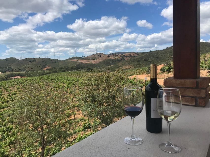 The Real Algarve: 2 Boutique Wineries & Silves Tour - Who this Silves and wine tour is best for