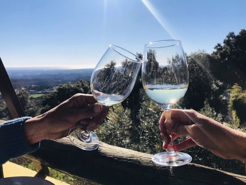 The Real Algarve: 2 Boutique Wineries & Silves Tour - Should you book the Real Algarve 2 Boutique Wineries & Silves Tour?