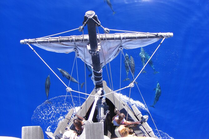 Time Travel on Columbus Replica Flag Ship in Madeira - The swim stop in summer: what to expect and what to pack