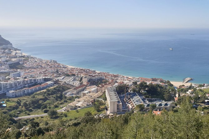 Tour Arrábida / Azeitão - Francisco’s guiding style: why the day feels personal