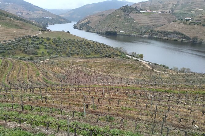 Tour- Douro Wine Region- The Douro Wine Route - The Douro Wine Route: what a 9-hour day feels like