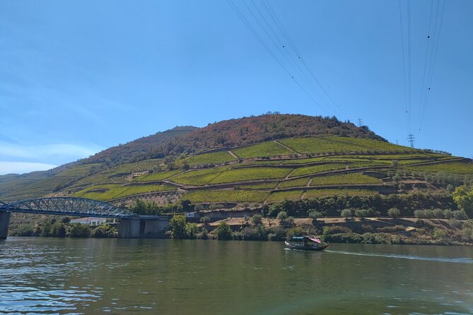 Tour- Douro Wine Region- The Douro Wine Route - Stop 2: The Miguel Torga viewpoint with a story behind it