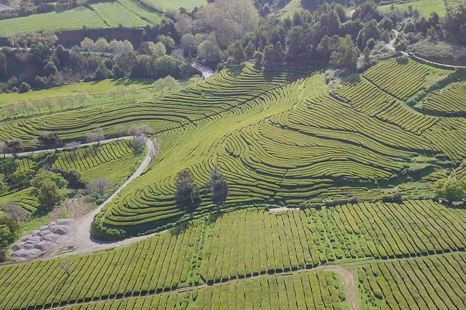 Tour to Furnas and Terra Nostra Garden - full day - Terra Nostra Park: botanical garden time plus a real hot spring swim