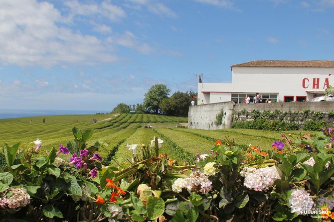 Tour to Furnas and Terra Nostra Garden - full day - Price and value: why $102.41 can be a smart buy