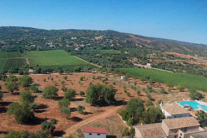 Tour & Wine tasting - Authentic Algarve Flavours by Quinta da Tôr - Value for money: why this feels like a smart Faro-area add-on