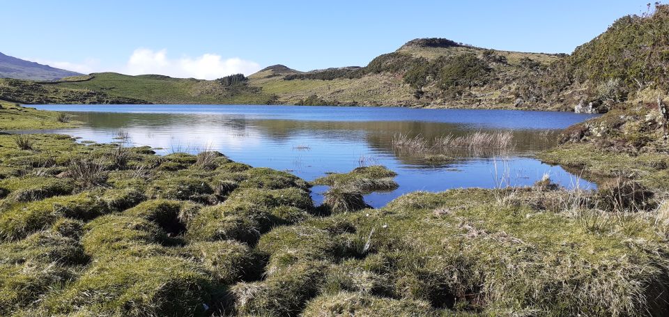 Tours on Pico Island - Cultural and Natural Landscape - Lagoa do Capitão and endemic plants: a nature stop with meaning