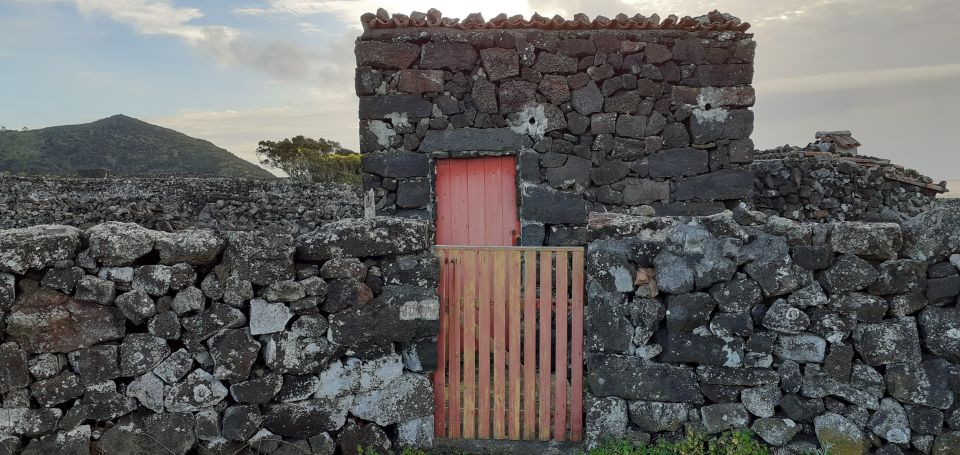 Tours on Pico Island - Cultural and Natural Landscape - Picking up in comfort and moving with the island