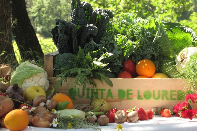 Traditional Cooking Class, Farm Tour & Lunch in the Douro Valley - Key highlights you should know