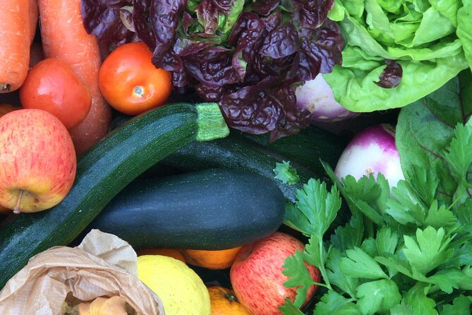 Traditional Cooking Class, Farm Tour & Lunch in the Douro Valley - Traditional cooking class: a four-course meal you help build