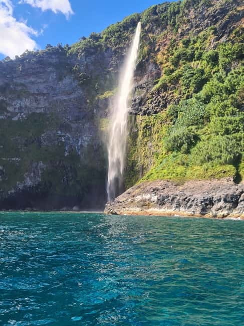 TRIP TO CORVO BY BOAT - Crossing the Atlantic for wildlife: how the crew boosts your chances