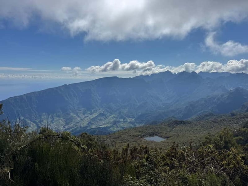 Tropical Tide, Porto Moniz & Fanal Forest 4WD Jeep Tour - Fanal Forest (UNESCO): mist, ancient trees, and slow wandering