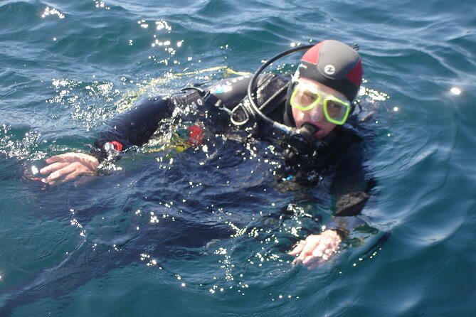 Try Dives - Discover Scuba Diving in Albufeira - Where you meet and how the timing works
