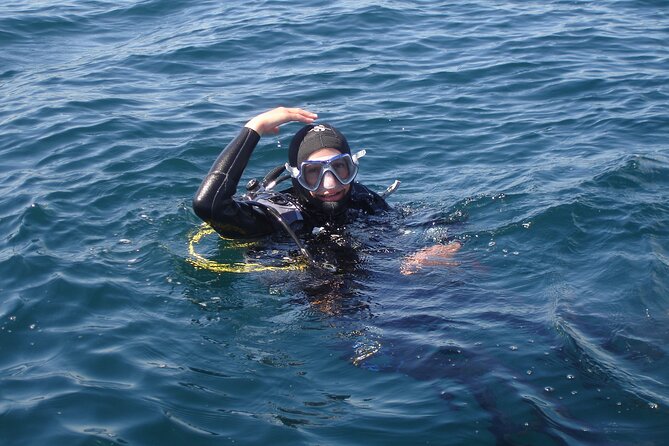 Try Dives - Discover Scuba Diving in Albufeira - Your guided underwater time: depth, duration, and marine life odds