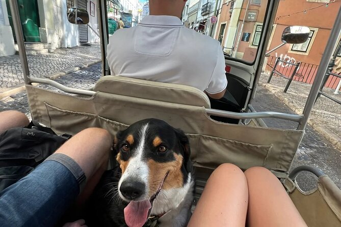 Tuk-Tuk Lisbon Tour 1 - 3hours - Chiado’s Literary Streets and Shopping Without the Detour