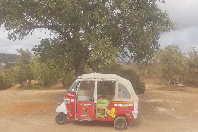 Tuk tuk tour- the best way to see coast and country side - What You Learn While You Ride: History and Customs on the Way